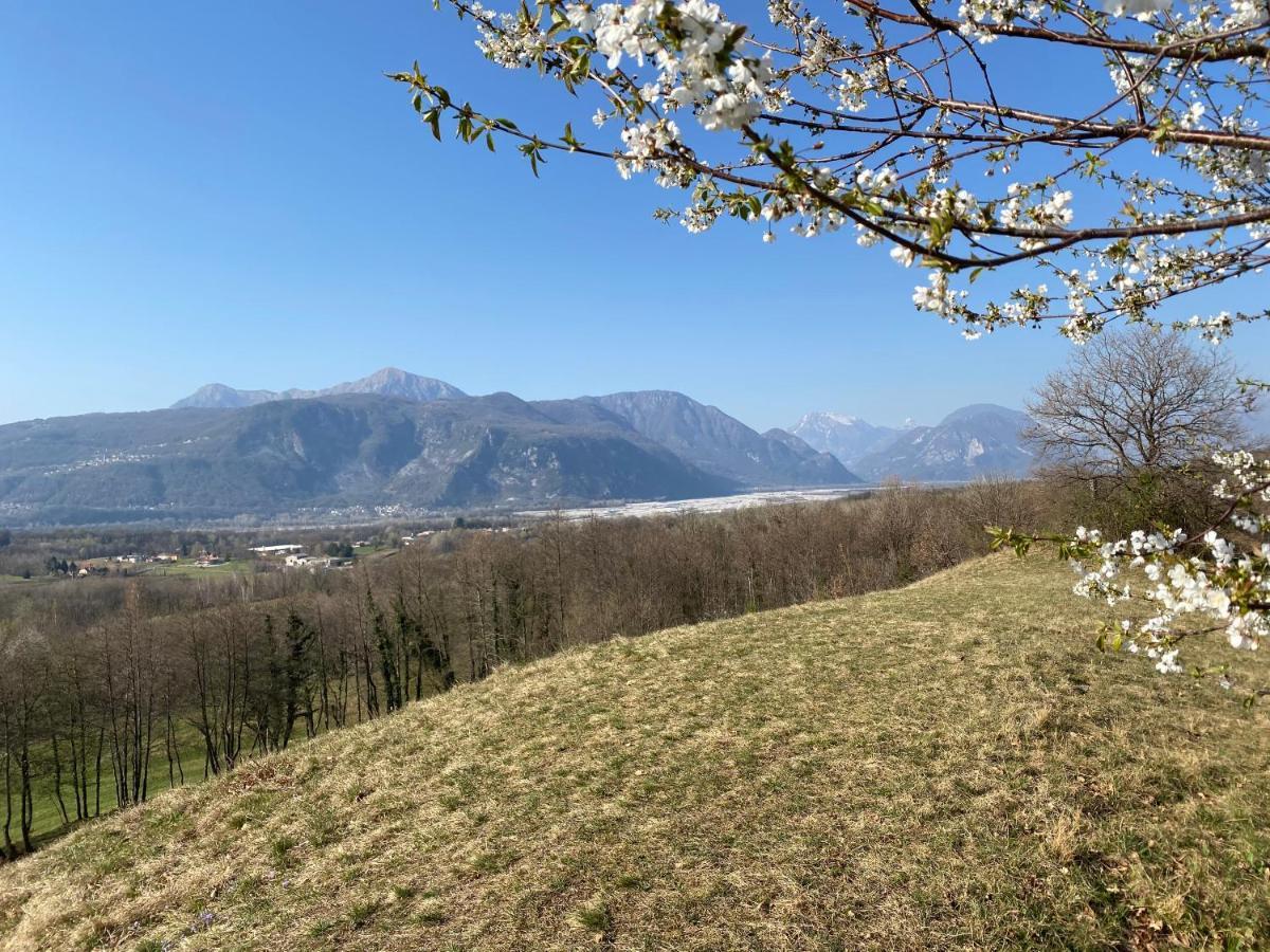 All'antica Scuderia Del Castello Farm stay *